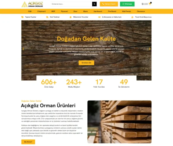 Burak Güneş - Web Tasarım & Dijital Pazarlama - Web Tasarım Projeleri