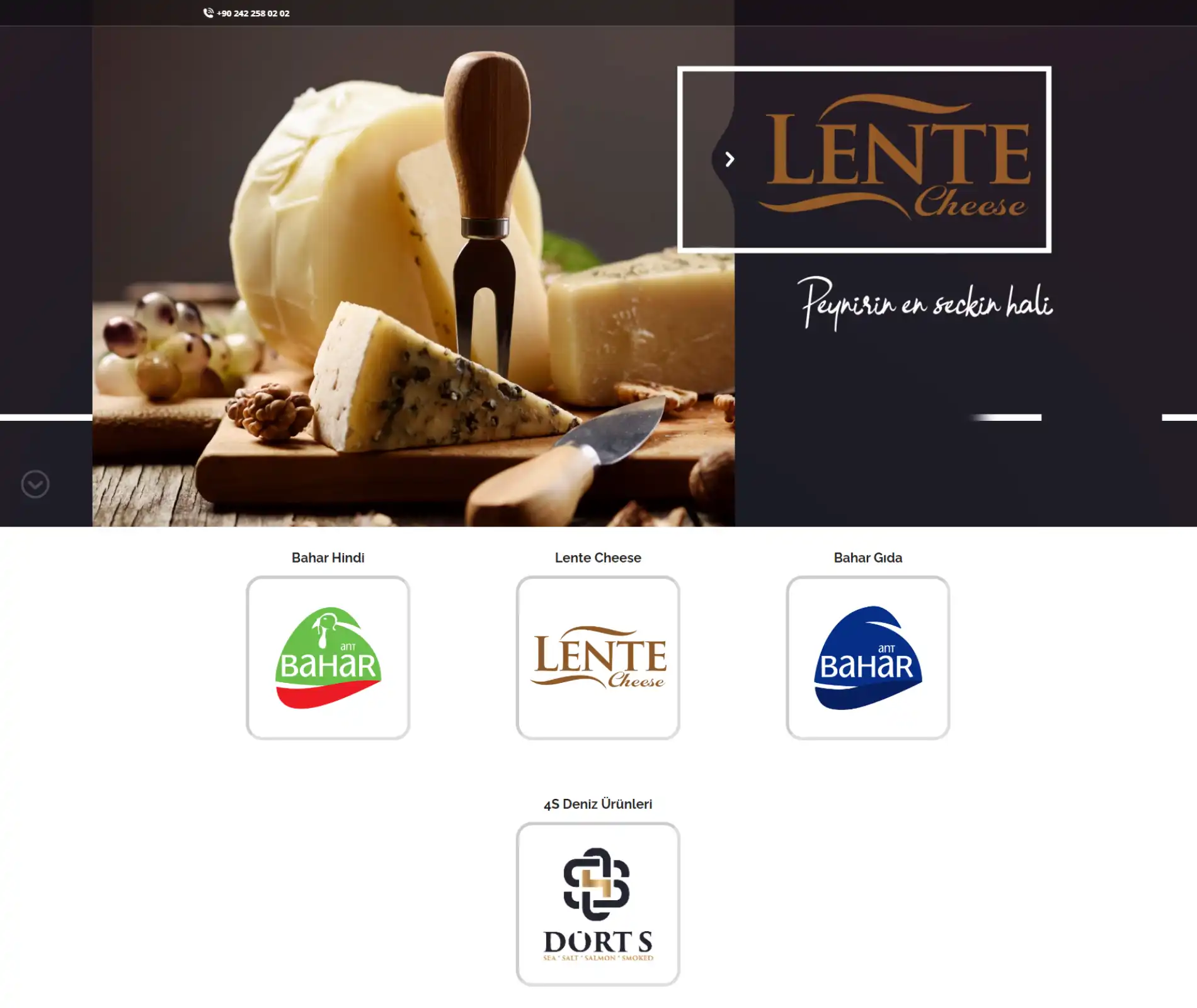 Burak Güneş - Web Tasarım & Dijital Pazarlama - Web Tasarım Projeleri